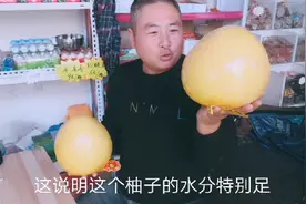 如何挑选好吃 水份多的柚子呢？我来给大家讲一下
