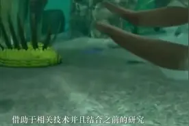 3亿年前的塔利怪物到底是什么生物？科学家吵了58年都没结果