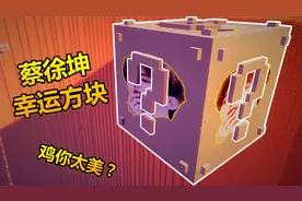 我的世界：国内牛人做出蔡徐坤幸运方块，能开出超凶神装！