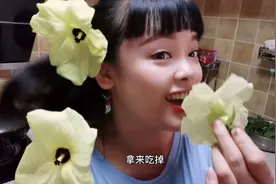 这种花你们方言叫什么？今天中午就吃它，黄蜀葵清热护肠胃补肾