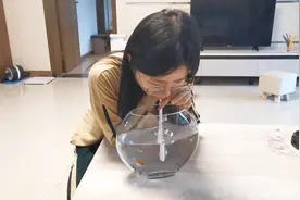 金鱼缺氧相继离世，聪明媳妇想出加氧妙招，给鱼儿们做人工呼吸视频封面