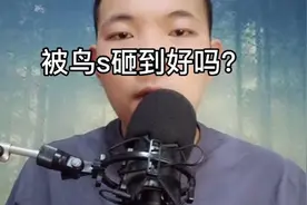 被鸟s砸中好吗？视频封面