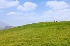 小城泰安惊现“win xp”蓝天白云草地壁纸拍摄地视频封面