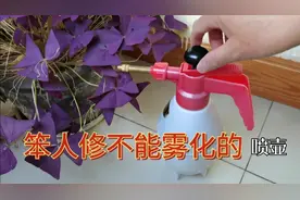 不花钱修复不雾化的浇花喷壶