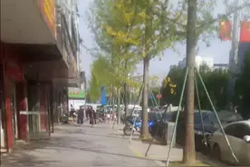 四川省南充市仪陇县视频封面