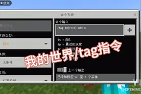 我的世界指令：/tag标签指令及其应用！