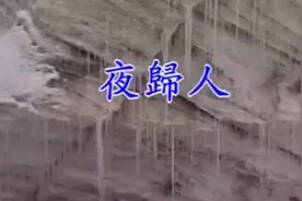 林玉英《夜归人》