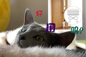 【Vlog21】猫咪自动开门器开箱使用
