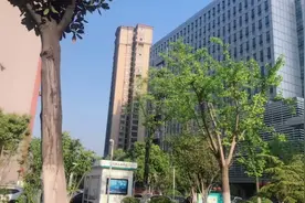 安徽省立医院西区视频封面