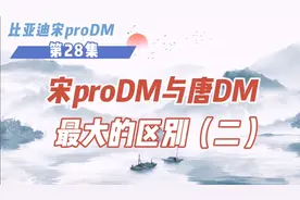 宋proDM与唐DM的最大区别（二），想买它就进来看看