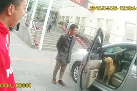 寄养不当狗狗出逃 想念主人上错车视频封面