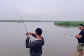 铅头钩路亚鲶鱼，标点选择和操作技巧，疯狂连杆，旁边钓友看呆了