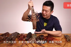 全球十种大龙虾一次横向测评