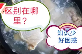 琵琶腿和鸡大腿有啥区别？前者贵一块钱，好在哪？超市购了这么多视频封面