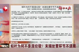 粽叶为何不是湿垃圾？末端处置环节不适用，换个说法是否更合适