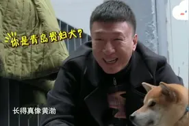 还记得和黄渤撞脸的那只狗嘛视频封面