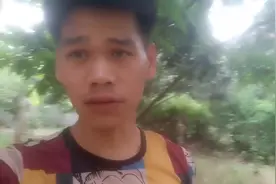 小时候特别不喜欢板栗花，现在板栗花我觉得是最香的花蜜视频封面