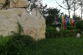 年轻人一定要学习并树立正确的社会主义核心价值观