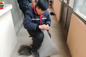 爸爸自制鱼竿手提包   还挺时尚