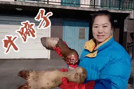 屠宰场买下全套牛下货，最好吃的牛蹄子，是这样去毛收拾干净的