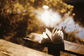 20首适合读书时听的音乐，静享书香时光（珍藏版)