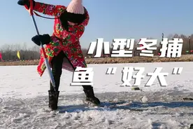 3点半黑天的东北林场零下25度冬捕，晚饭能吃到鱼吗？黑龙江伊春视频封面