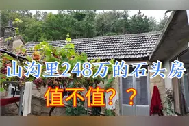 大山沟里有座石头房，160平主人卖248万，我们看看值不值视频封面