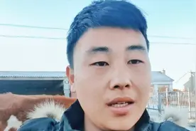 养牛为何需要喂盐？牛一天需要喂多少盐？养牛小伙揭秘背后原因！视频封面