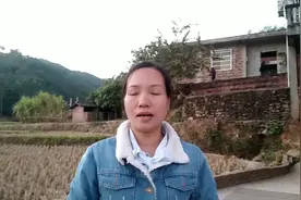 怎么辨别是老母鸡和土鸡，以后就不用担心