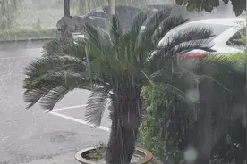 临沂的第三场大雨来了，地点河东区，你们那边下了吗