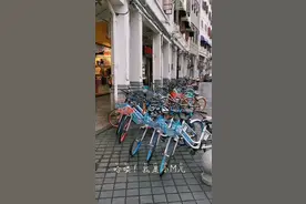 “龟女”接连两次碰见喜鸟当头叫，是不是好事将近，心情杠杠滴视频封面