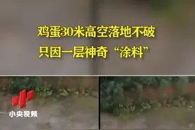 鸡蛋30米高空落地不破 只因一层神奇“涂料”