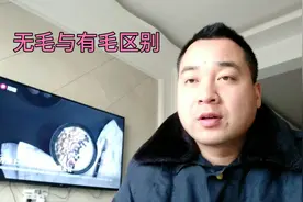 “好男有毛值千金，好女无毛旺三代”什么寓意呢！无毛与有毛区别