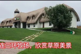 大连三环牧场圆你去草原的梦。这里绿草如茵，有牛、羊，还有羊驼视频封面