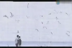 韩剧火花🌸超好听的主题曲《爱的赞歌》