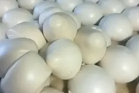 为什么您蒸的老面包子馒头，总是发黄、不白？教你两招，解决方法