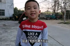 蚂蚁喜欢吃甜还是吃咸的？儿子问题千奇百怪，妈妈的解答方法怎样视频封面