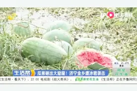 痛心！济宁金乡遭遇冰雹袭击，瓜果被砸出大窟窿，庄稼几乎绝产视频封面