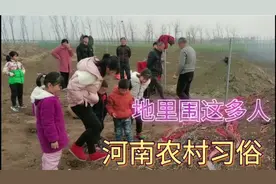 河南习俗：农村一家老小为奶奶3周年上坟，看看他们是怎么祭拜！