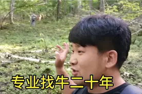 自家牛自己都不认识找不到了？张贺发现生财商机，一次二百合集吧视频封面