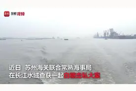 500余吨！苏州海关破获一起白糖走私大案视频封面