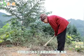 农村百岁老人，行动不便依旧每天下地干活，是什么让她如此操劳？视频封面