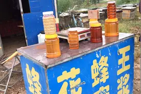 在农村蜂蜜的价格是多少钱一斤？听听养蜂大伯是怎么说的！视频封面