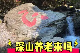 百元包吃住，皖南深山老林适合避暑，适不适合你来养老呢？视频封面