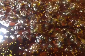 云南高海拔野生香菇酱