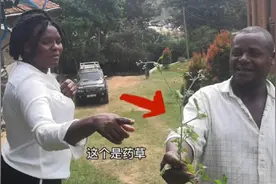 非洲人涂在身上的神奇药草，你们都见过吗？难道真的有效果吗？视频封面