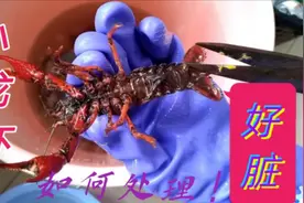 你了解小龙虾身上有多脏吗？吃小龙虾之前一定要知道这些视频封面