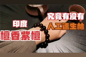 野生紫檀原材料如此火爆，为何没有老板人工种植？视频封面