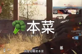 使命召唤16大逃杀吃鸡攻略，游戏时长500以上才能看懂，新手勿扰