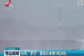 台风“罗莎”登陆日本致1死28伤
